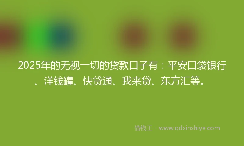 2025年的无视一切的贷款口子有：平安口袋银行、洋钱罐、快贷通、我来贷、东方汇等。