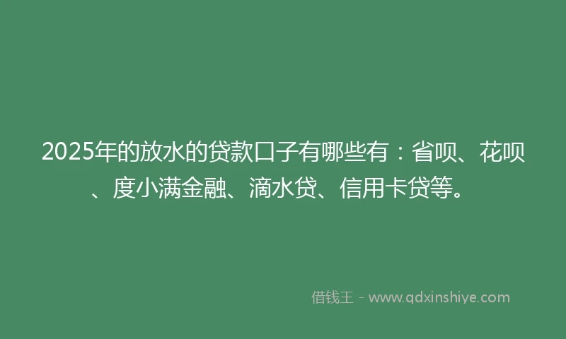 2025年的放水的贷款口子有哪些有：省呗、花呗、度小满金融、滴水贷、信用卡贷等。