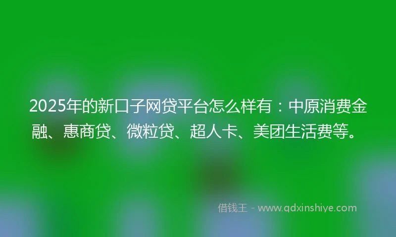2025年的新口子网贷平台怎么样有:中原消费金融、惠商贷、微粒贷、超人卡、美团生活费等。