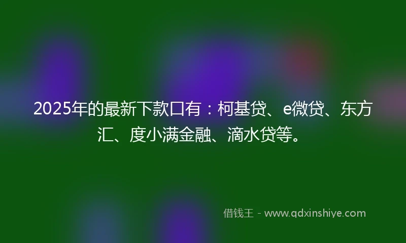 2025年的最新下款口有：柯基贷、e微贷、东方汇、度小满金融、滴水贷等。