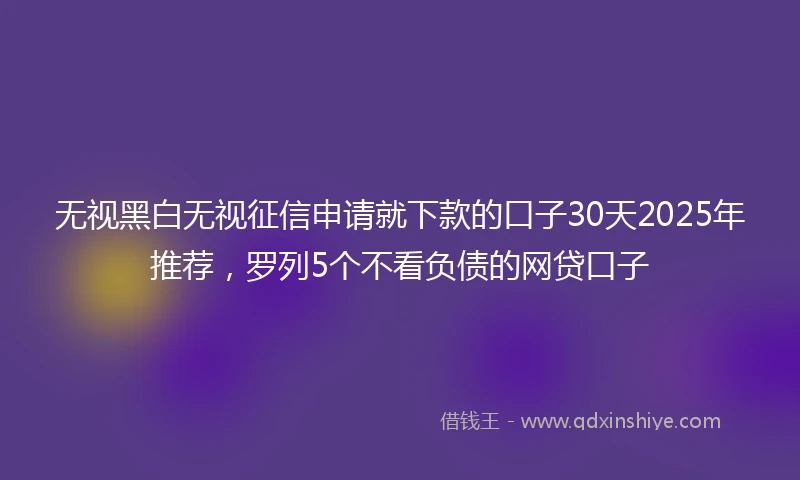 无视黑白无视征信申请就下款的口子30天2025年推荐，罗列5个不看负债的网贷口子