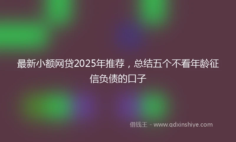 最新小额网贷2025年推荐，总结五个不看年龄征信负债的口子