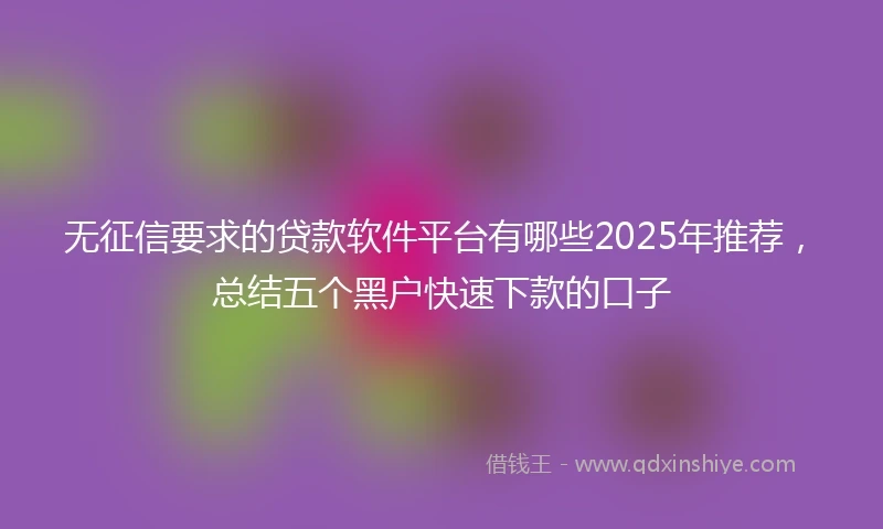 无征信要求的贷款软件平台有哪些2025年推荐，总结五个黑户快速下款的口子