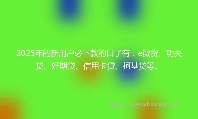 2025年的新用户必下款的口子有：e微贷、功夫贷、好期贷、信用卡贷、柯基贷等。