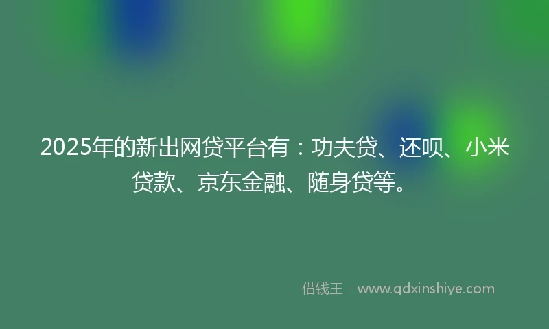 2025年的新出网贷平台有：功夫贷、还呗、小米贷款、京东金融、随身贷等。