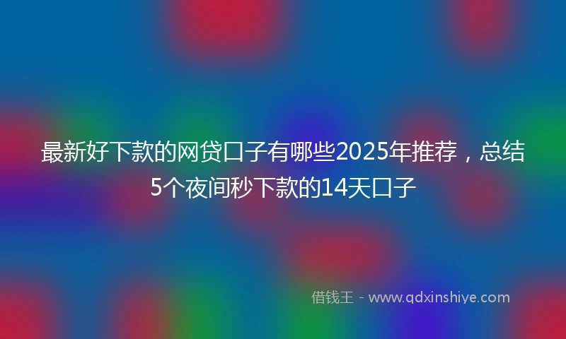 最新好下款的网贷口子有哪些2025年推荐，总结5个夜间秒下款的14天口子