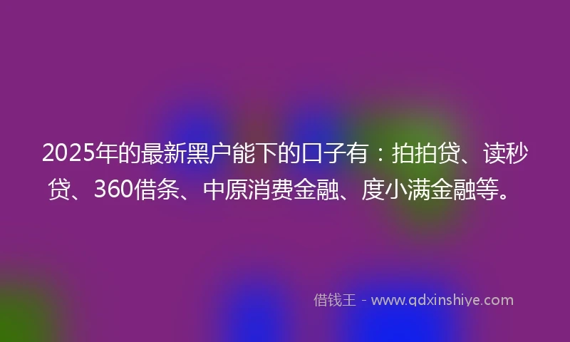 2025年的最新黑户能下的口子有:拍拍贷、读秒贷、360借条、中原消费金融、度小满金融等。