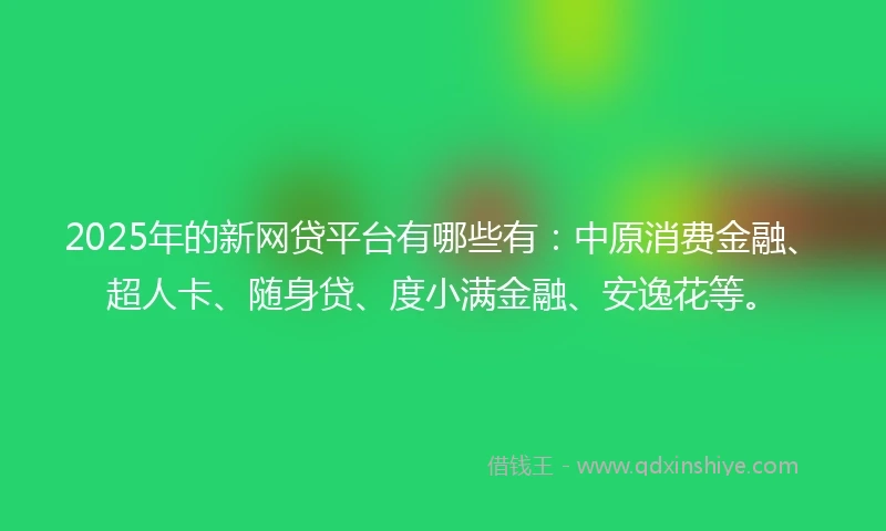 2025年的新网贷平台有哪些有：中原消费金融、超人卡、随身贷、度小满金融、安逸花等。