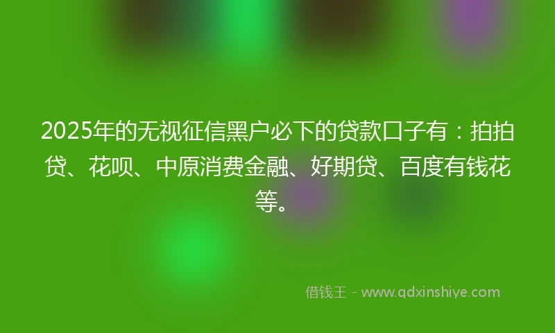 2025年的无视征信黑户必下的贷款口子有：拍拍贷、花呗、中原消费金融、好期贷、百度有钱花等。