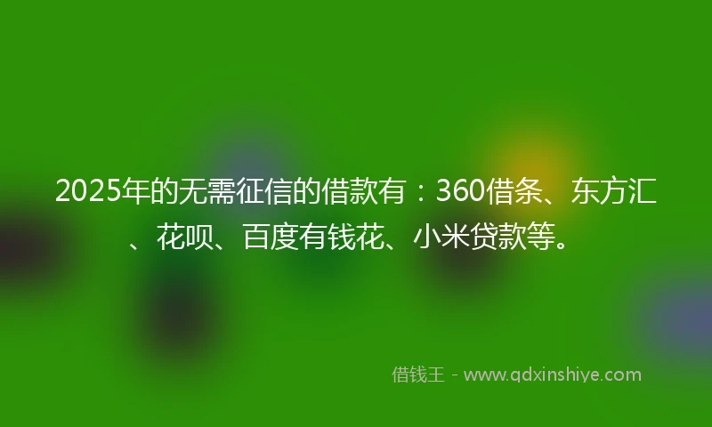 2025年的无需征信的借款有:360借条、东方汇、花呗、百度有钱花、小米贷款等。