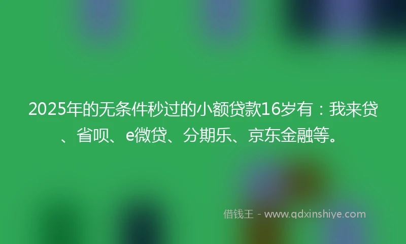2025年的无条件秒过的小额贷款16岁有：我来贷、省呗、e微贷、分期乐、京东金融等。