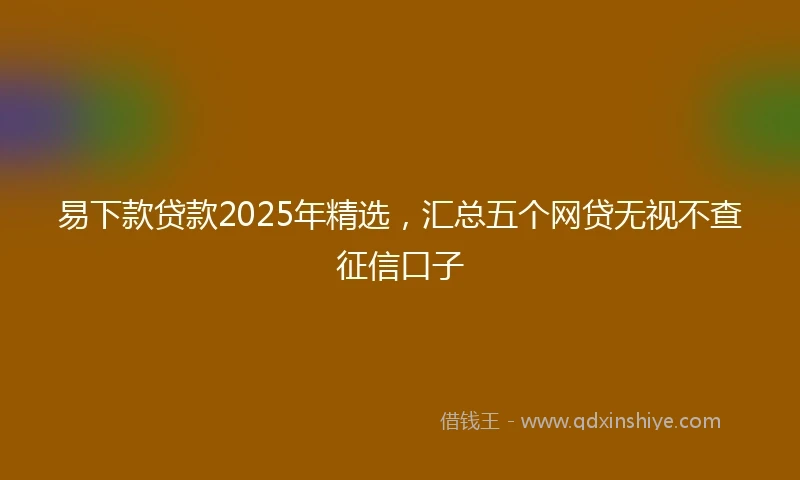 易下款贷款2025年精选，汇总五个网贷无视不查征信口子