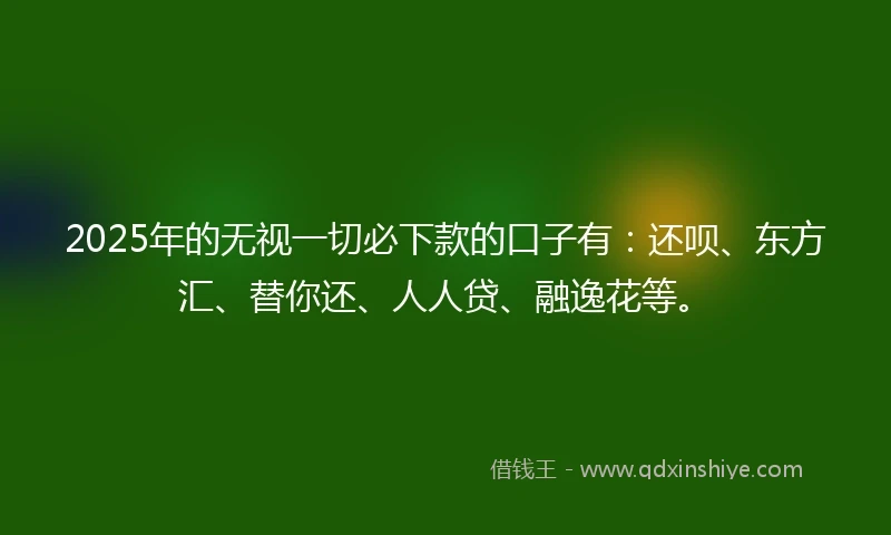 2025年的无视一切必下款的口子有：还呗、东方汇、替你还、人人贷、融逸花等。