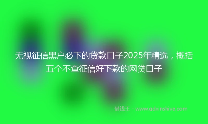 无视征信黑户必下的贷款口子2025年精选，概括五个不查征信好下款的网贷口子