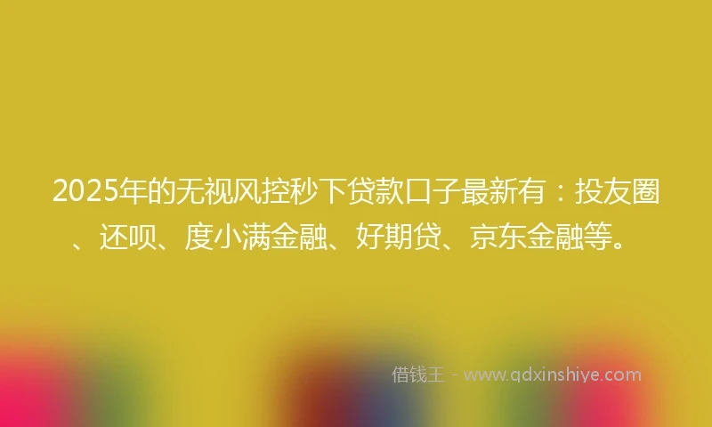 2025年的无视风控秒下贷款口子最新有：投友圈、还呗、度小满金融、好期贷、京东金融等。