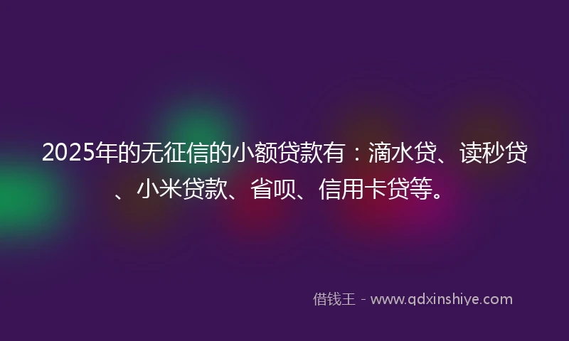 2025年的无征信的小额贷款有：滴水贷、读秒贷、小米贷款、省呗、信用卡贷等。