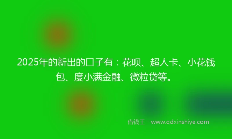 2025年的新出的口子有：花呗、超人卡、小花钱包、度小满金融、微粒贷等。