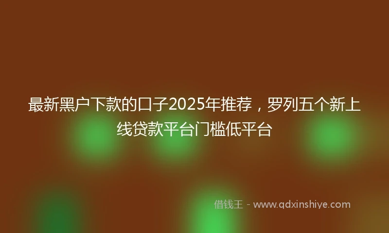 最新黑户下款的口子2025年推荐，罗列五个新上线贷款平台门槛低平台