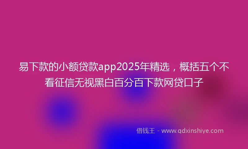 易下款的小额贷款app2025年精选，概括五个不看征信无视黑白百分百下款网贷口子