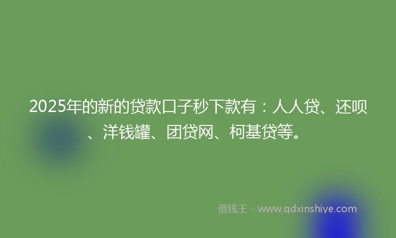 2025年的新的贷款口子秒下款有：人人贷、还呗、洋钱罐、团贷网、柯基贷等。