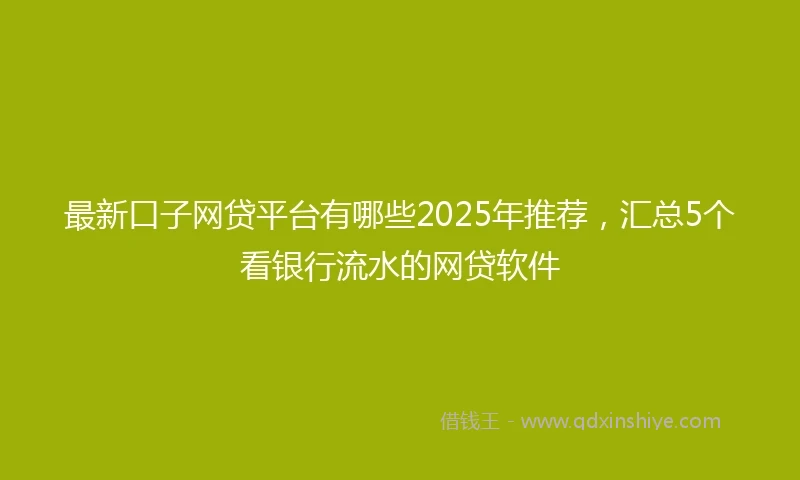最新口子网贷平台有哪些2025年推荐，汇总5个看银行流水的网贷软件