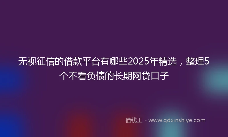 无视征信的借款平台有哪些2025年精选，整理5个不看负债的长期网贷口子