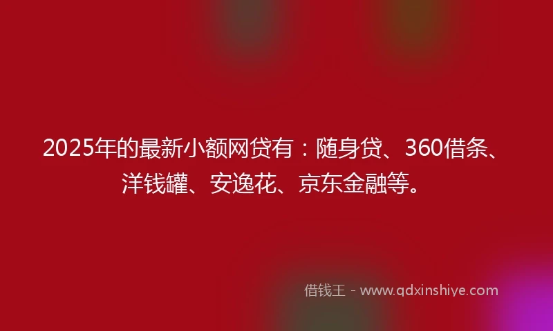 2025年的最新小额网贷有：随身贷、360借条、洋钱罐、安逸花、京东金融等。