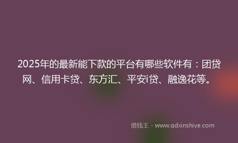 2025年的最新能下款的平台有哪些软件有：团贷网、信用卡贷、东方汇、平安i贷、融逸花等。