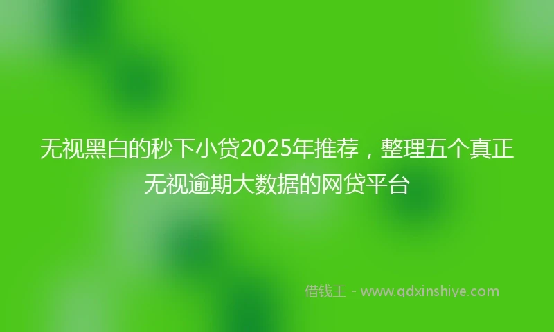 无视黑白的秒下小贷2025年推荐，整理五个真正无视逾期大数据的网贷平台