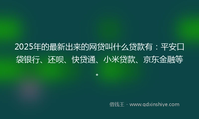 2025年的最新出来的网贷叫什么贷款有：平安口袋银行、还呗、快贷通、小米贷款、京东金融等。