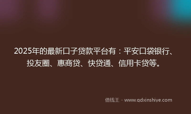 2025年的最新口子贷款平台有：平安口袋银行、投友圈、惠商贷、快贷通、信用卡贷等。