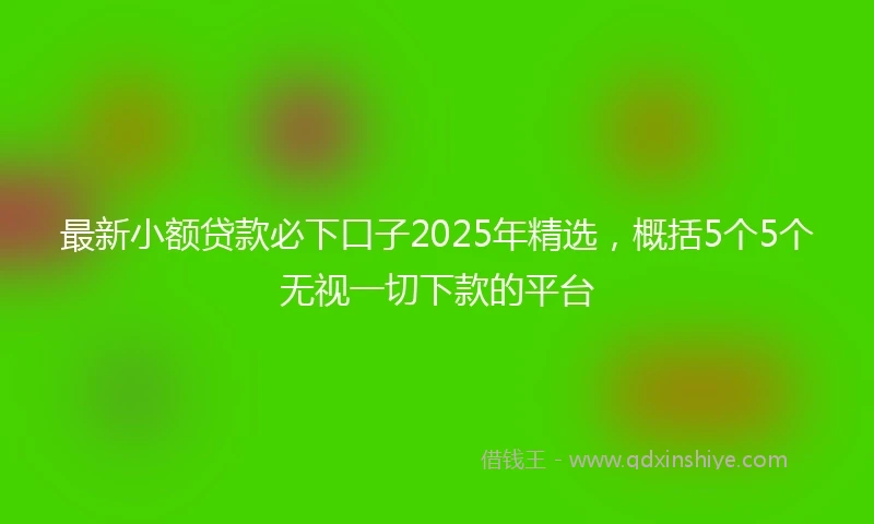 最新小额贷款必下口子2025年精选，概括5个5个无视一切下款的平台