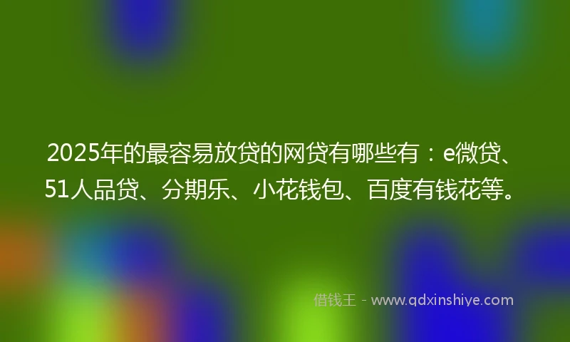 2025年的最容易放贷的网贷有哪些有：e微贷、51人品贷、分期乐、小花钱包、百度有钱花等。