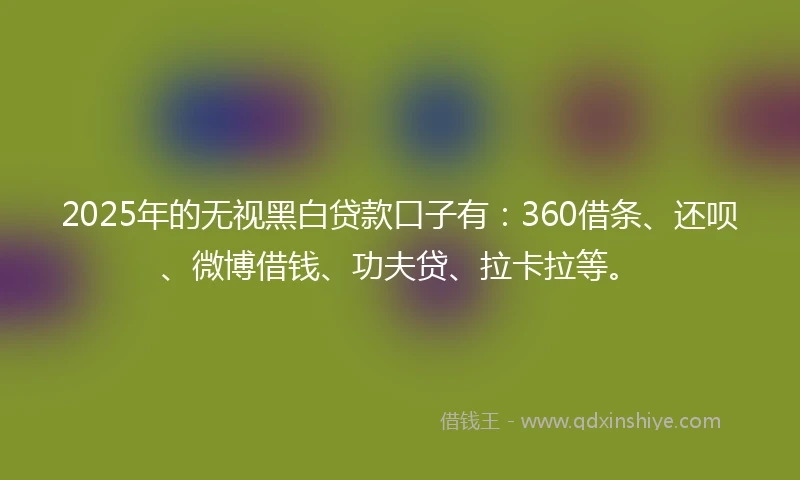 2025年的无视黑白贷款口子有：360借条、还呗、微博借钱、功夫贷、拉卡拉等。