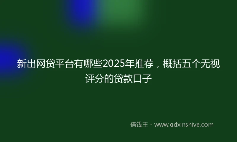 新出网贷平台有哪些2025年推荐，概括五个无视评分的贷款口子