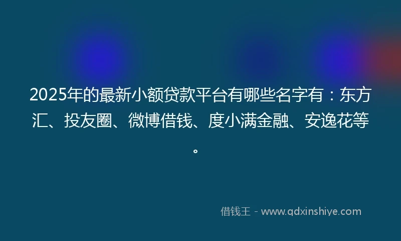 2025年的最新小额贷款平台有哪些名字有：东方汇、投友圈、微博借钱、度小满金融、安逸花等。