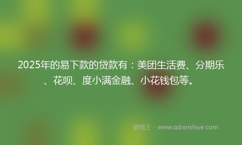 2025年的易下款的贷款有：美团生活费、分期乐、花呗、度小满金融、小花钱包等。
