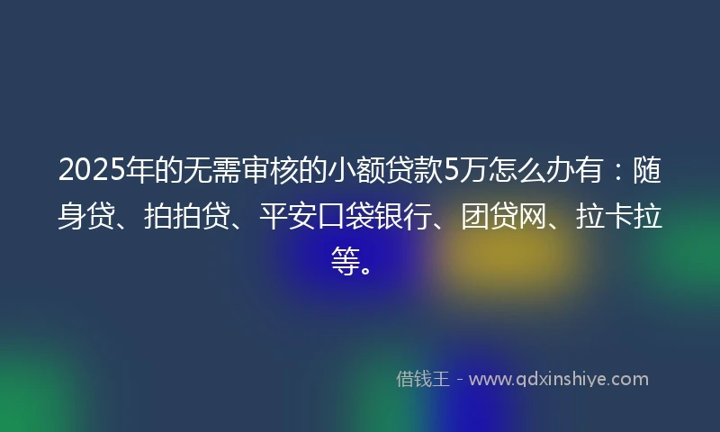 2025年的无需审核的小额贷款5万怎么办有：随身贷、拍拍贷、平安口袋银行、团贷网、拉卡拉等。