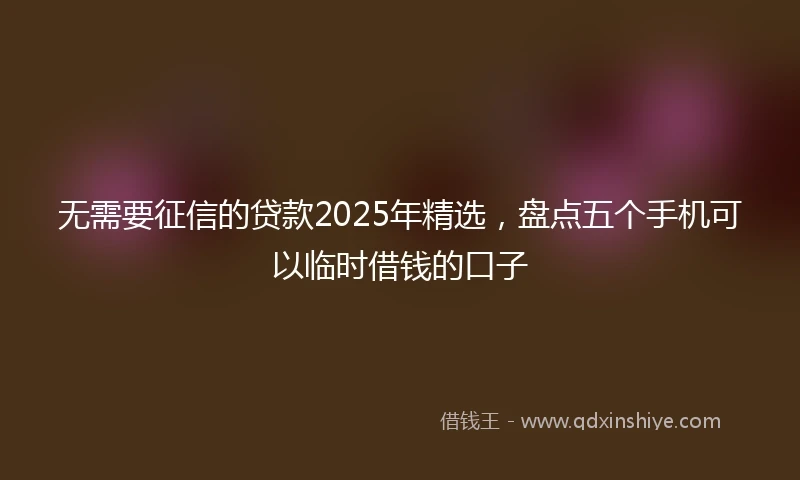 无需要征信的贷款2025年精选，盘点五个手机可以临时借钱的口子
