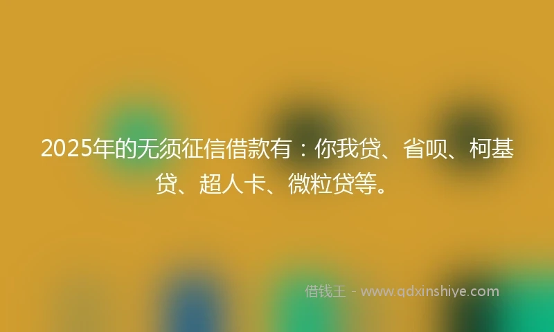 2025年的无须征信借款有：你我贷、省呗、柯基贷、超人卡、微粒贷等。