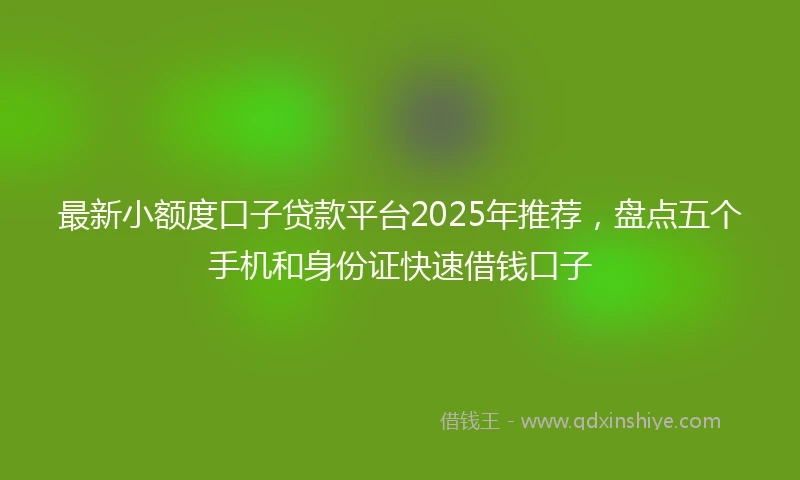 最新小额度口子贷款平台2025年推荐，盘点五个手机和身份证快速借钱口子