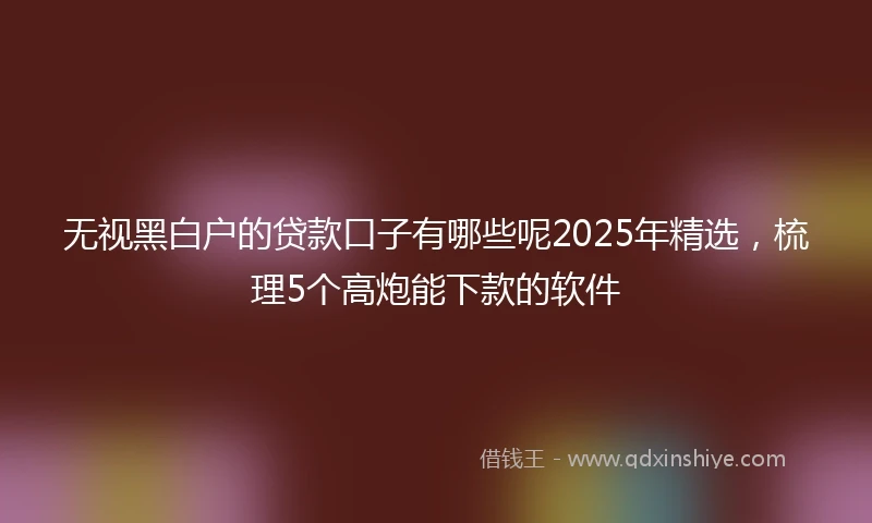 无视黑白户的贷款口子有哪些呢2025年精选，梳理5个高炮能下款的软件