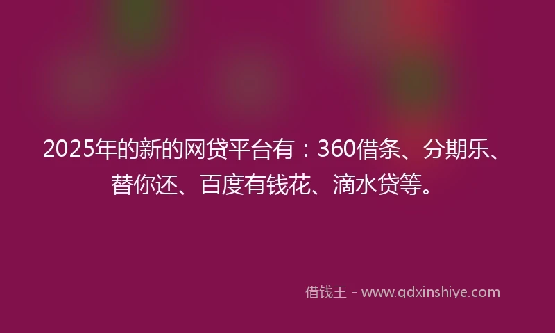 2025年的新的网贷平台有：360借条、分期乐、替你还、百度有钱花、滴水贷等。
