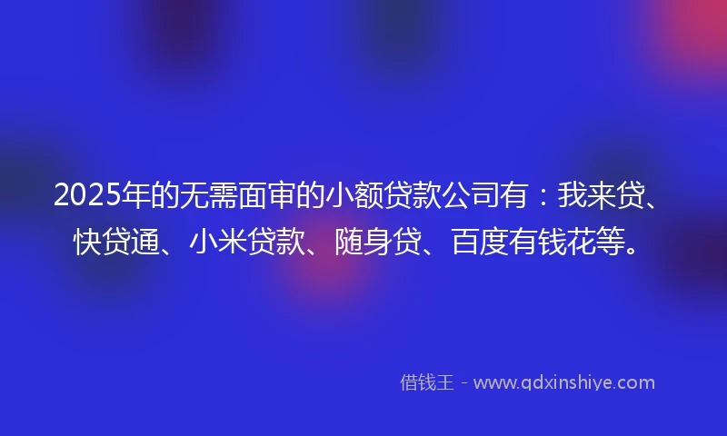 2025年的无需面审的小额贷款公司有：我来贷、快贷通、小米贷款、随身贷、百度有钱花等。