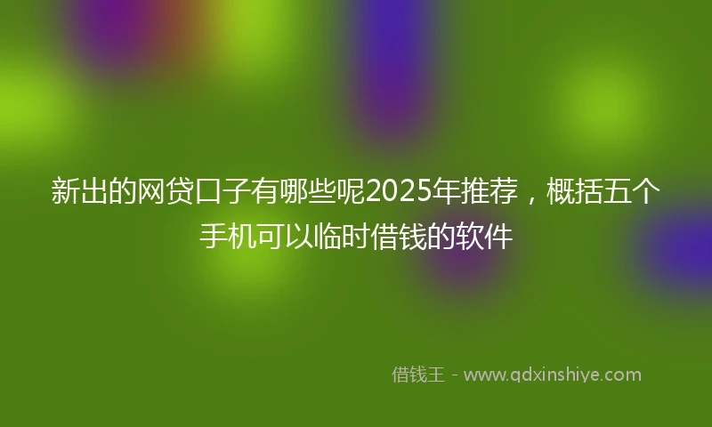 新出的网贷口子有哪些呢2025年推荐,概括五个手机可以临时借钱的软件