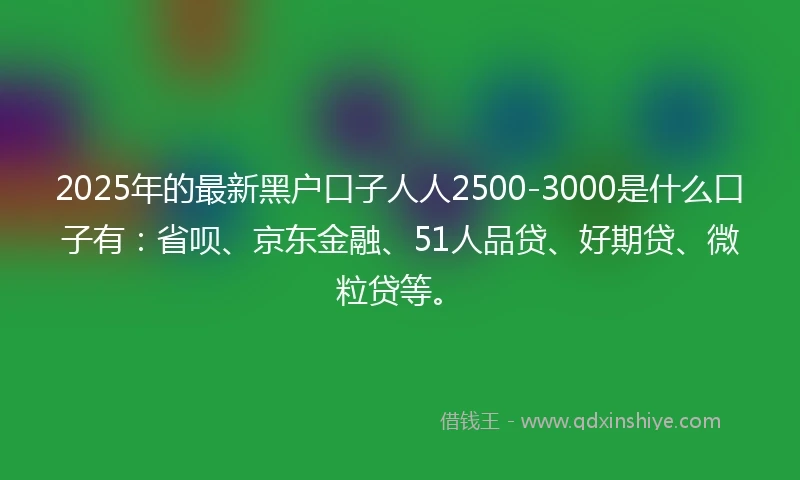 2025年的最新黑户口子人人2500-3000是什么口子有：省呗、京东金融、51人品贷、好期贷、微粒贷等。