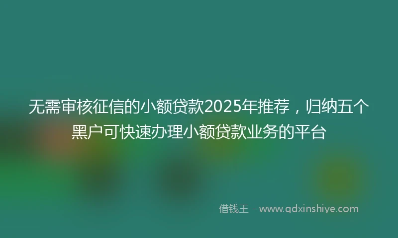 无需审核征信的小额贷款2025年推荐，归纳五个黑户可快速办理小额贷款业务的平台