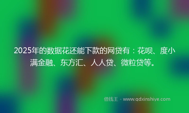 2025年的数据花还能下款的网贷有：花呗、度小满金融、东方汇、人人贷、微粒贷等。