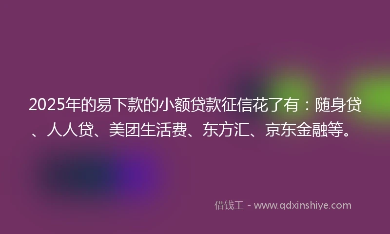 2025年的易下款的小额贷款征信花了有：随身贷、人人贷、美团生活费、东方汇、京东金融等。