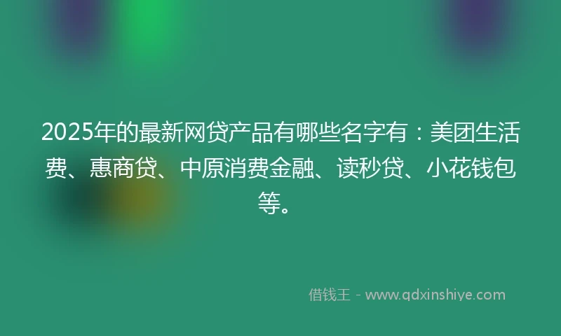 2025年的最新网贷产品有哪些名字有：美团生活费、惠商贷、中原消费金融、读秒贷、小花钱包等。